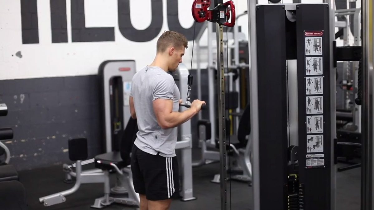 Cable Tricep Push Down (Bar)